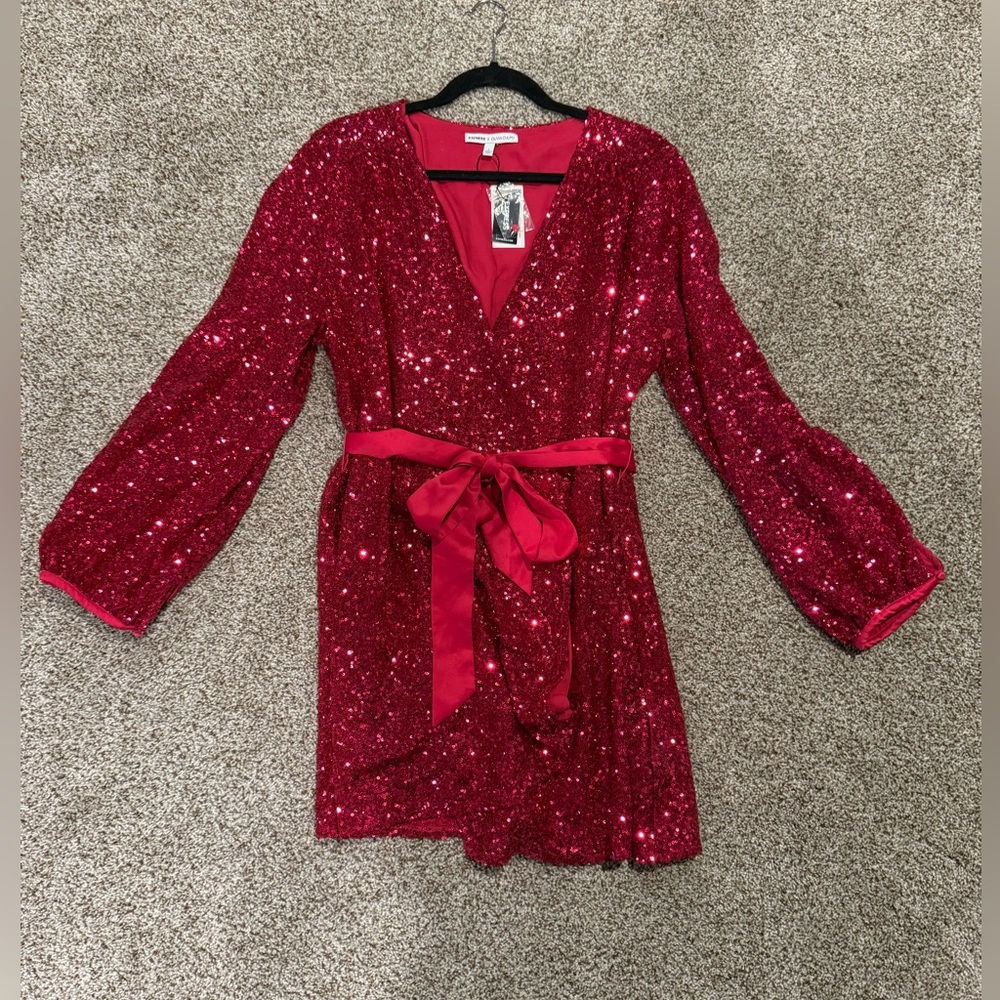 Express NWT, sz L sequin dress